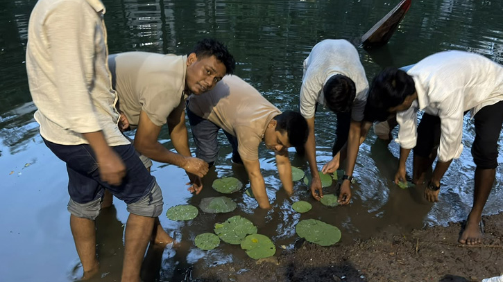 ধানমন্ডি লেকে কমল-শাপলার চারা রোপণ করলেন ছাত্রদল নেতা প্রিন্স 