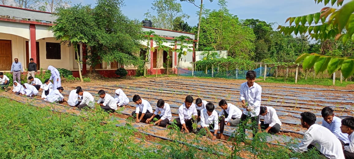 ছবি: বাসস