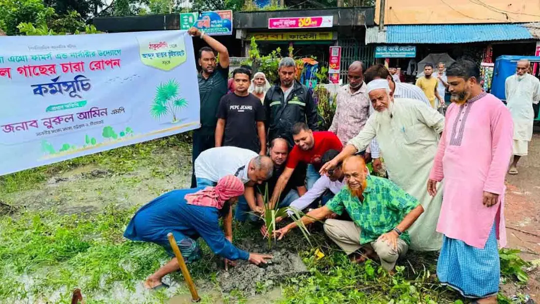 চট্টগ্রামে বজ্রপাত রোধে ৫ কিলোমিটার সড়কে ২৩০০ তালগাছ রোপণের উদ্যোগ
