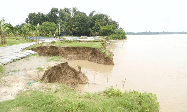 শৈলকুপায় গড়াই নদীর ভাঙন আতঙ্কে ৫ গ্রামের মানুষ