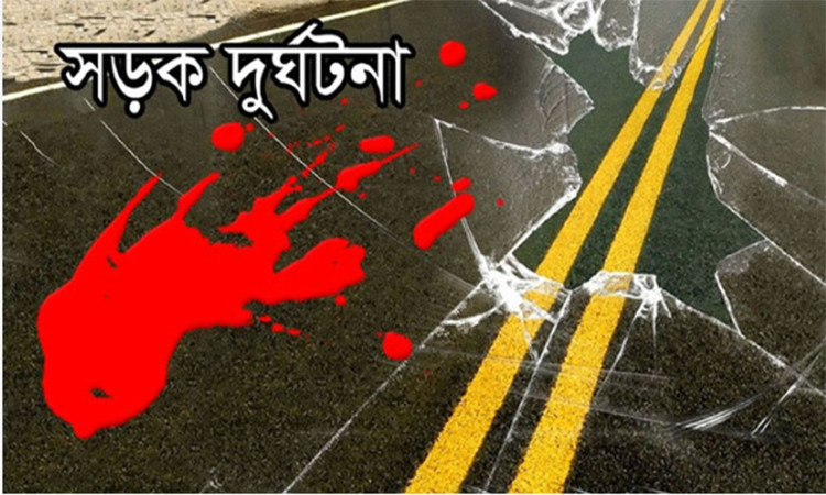 নাটোরে সড়ক দুর্ঘটনায় দুই সহোদরসহ ৩ জন নিহত