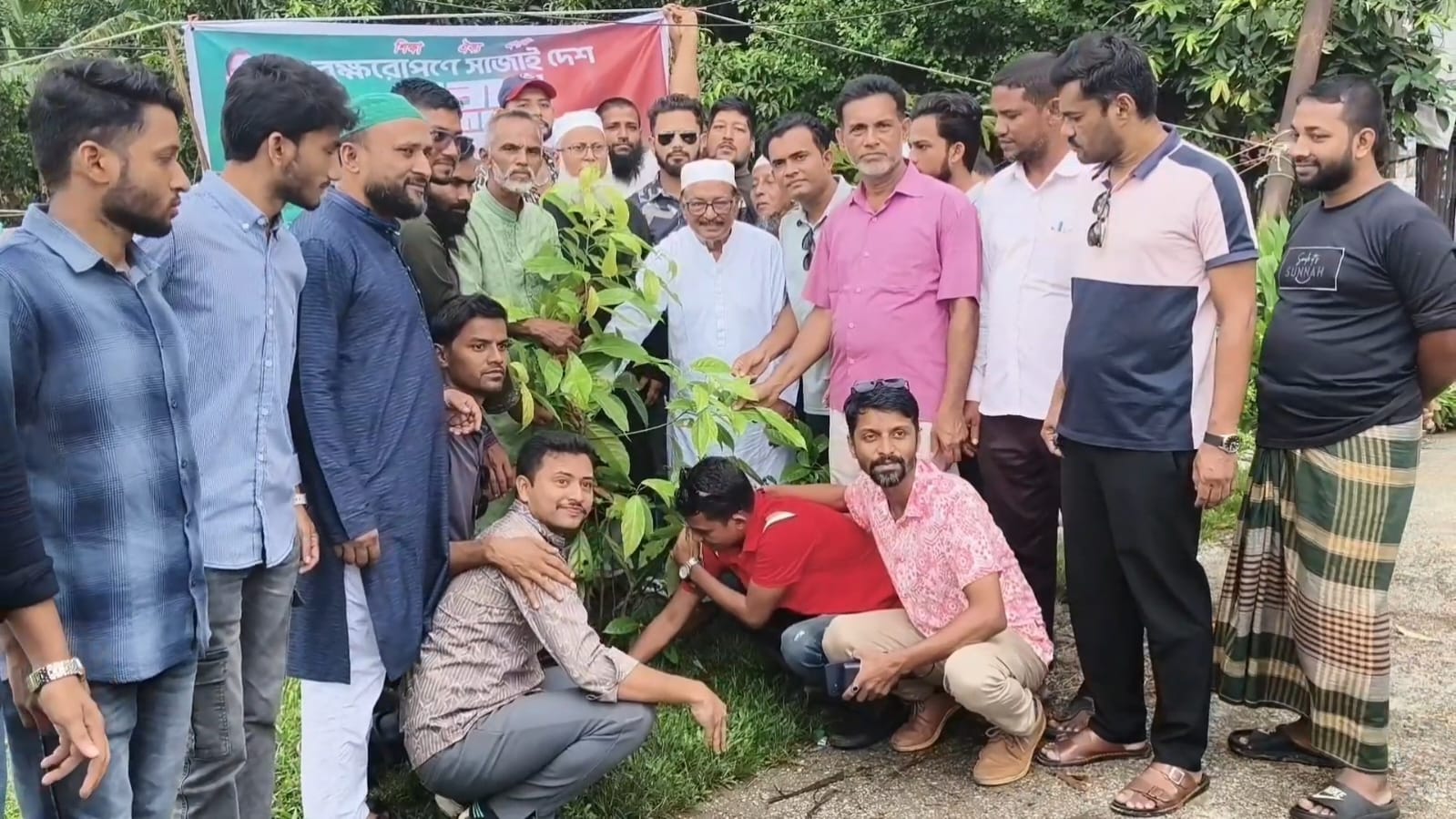 ভোলায় ১০০০ গাছের চারা রোপণ করেছে জেলা ছাত্রদল