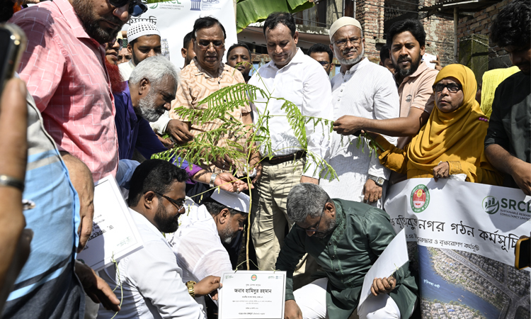 পরিবেশ রক্ষায় বৃক্ষরোপণের পাশাপাশি সামাজিক আন্দোলন গড়তে হবে : ডিএসসিসি প্রশাসক