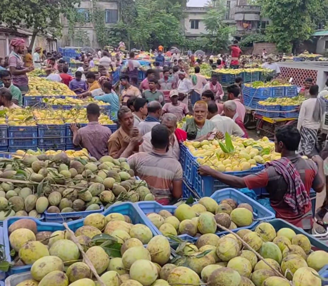 চাঁপাইনবাবগঞ্জে শেষ মুহূর্তে আম বাজারে বেচাকেনা বেশ জমজমাট