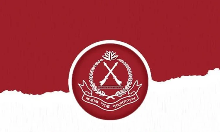 জুলাইয়ে ২০২ কোটি ৬৩ লাখ টাকার চোরাচালানি পণ্য জব্দ করেছে বিজিবি