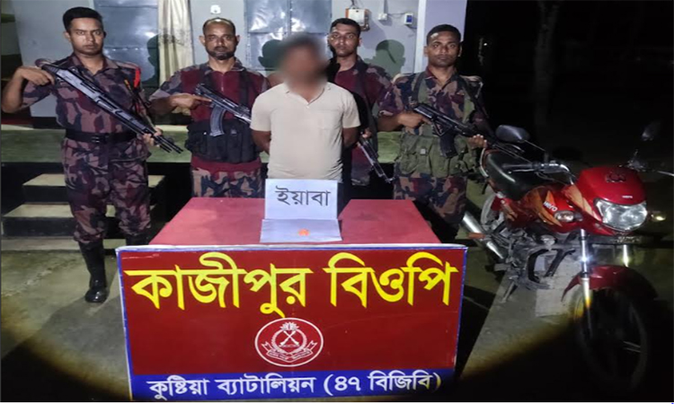 কুষ্টিয়ায় ভারতীয় মাদক ও চোরাচালানি পণ্য জব্দ, আটক ১