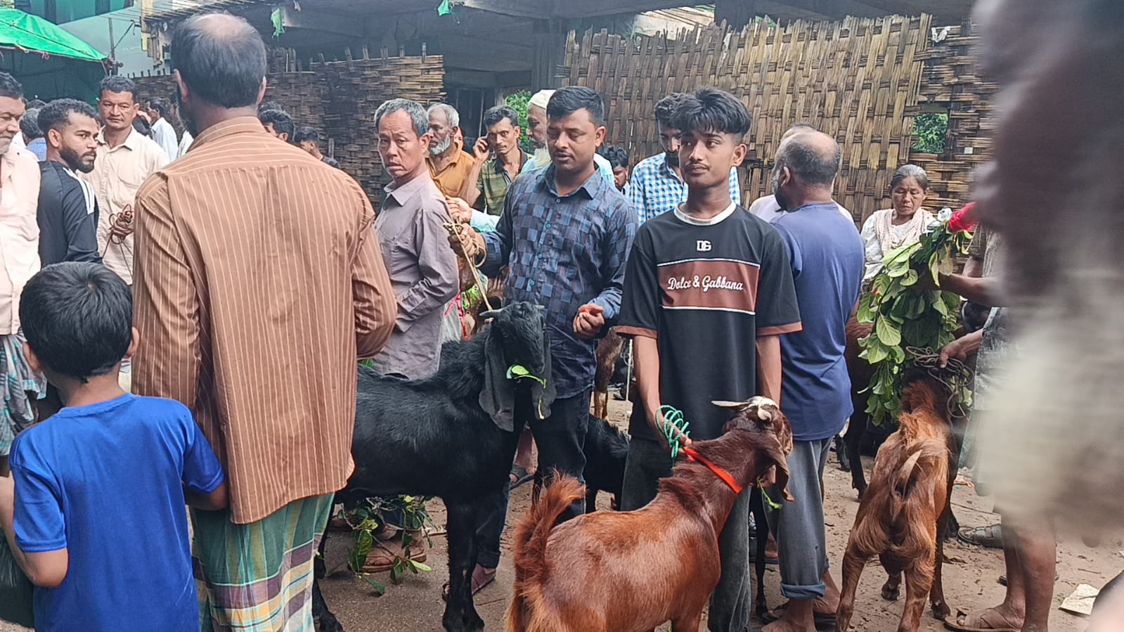 সনাতনীদের মনসা পূজাকে ঘিরে রাঙামাটিতে জমে উঠেছে ছাগলের হাট