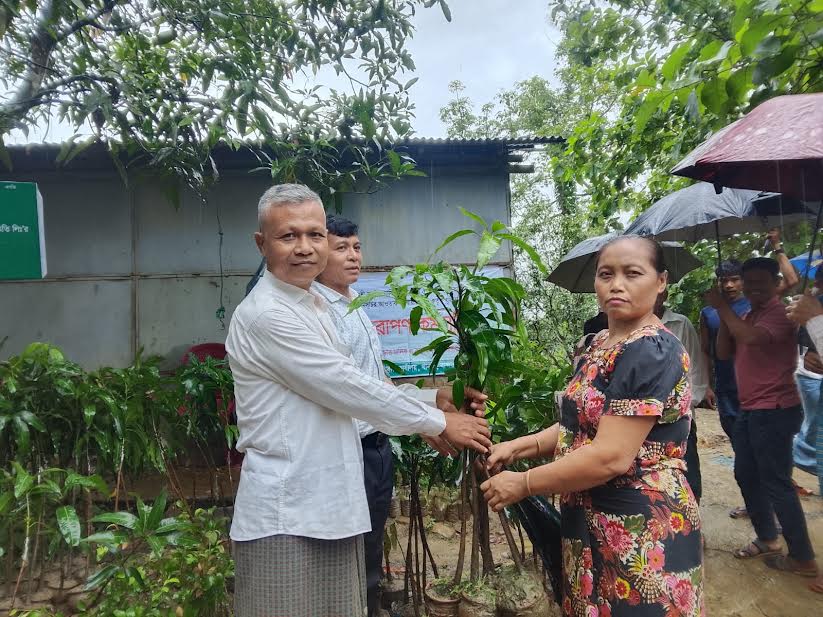থানচিতে ৭ শতাধিক বিভিন্ন প্রজাতির বৃক্ষচারা বিতরণ