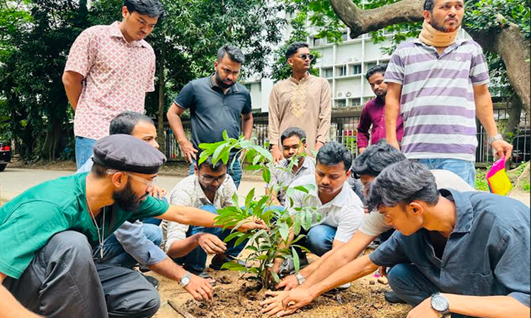 খালেদা জিয়ার জন্মবার্ষিকীতে ঢাবিতে কাঁঠালিচাঁপা গাছ রোপণ করলেন ছাত্রদল নেতা প্রিন্স