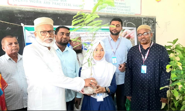 বাগেরহাটে ৭০০ শিক্ষার্থী পেল ফলদ গাছের চারা