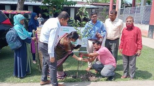 পরিবেশের ভারসাম্য রক্ষায় সাতক্ষীরায় বৃক্ষরোপণ অভিযান