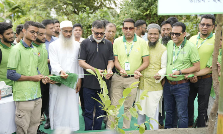 সবার সহযোগিতায় সবুজ ঢাকা গড়ে তোলা হবে: ডিএনসিসি প্রশাসক