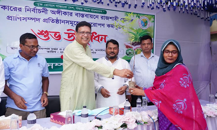 রাজশাহীতে প্রাণিসম্পদ প্রতিষ্ঠানসমূহের বৃক্ষরোপণ 