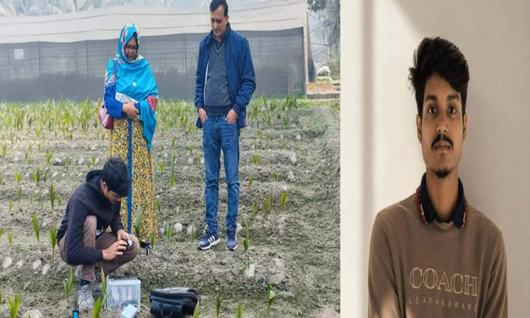 হাবিপ্রবি’র শিক্ষার্থীর গবেষণায় এআই পদ্ধতি ব্যবহারে ফসলের অগ্রগতি