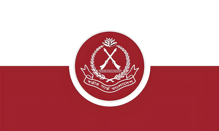 শেরপুর সীমান্তে ভারতীয় মাদক জব্দ