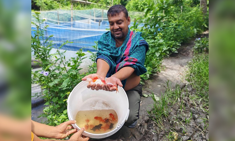 খুলনায় রঙিন মাছ ও সমন্বিত খামারে রাহুলের রঙিন জীবন 