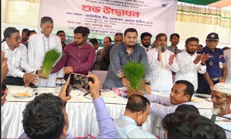 চট্টগ্রামে বিনামূল্যে আমন চাষের বীজ ও চারা পেলেন ৩৪ হাজার কৃষক