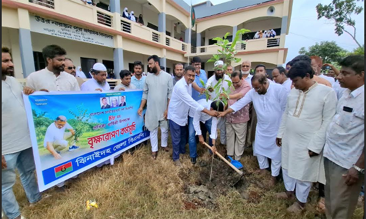 বিএনপির প্রতিষ্ঠাবার্ষিকীতে ঝিনাইদহে বৃক্ষরোপণ ও গাছের চারা বিতরণ