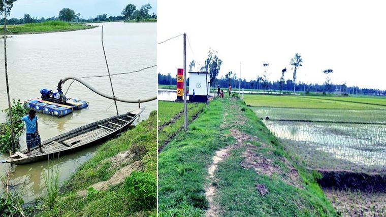 রৌমারীতে গ্রিড সাবস্টেশন হলে অতিরিক্ত ৬,৩০০ টন ধান উৎপাদন সম্ভব
