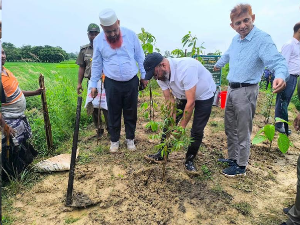 পরিবেশ ও জীববৈচিত্র্য রক্ষায় সবুজায়ন গুরুত্বপূর্ণ : পরিবেশ প্রতিমন্ত্রী 