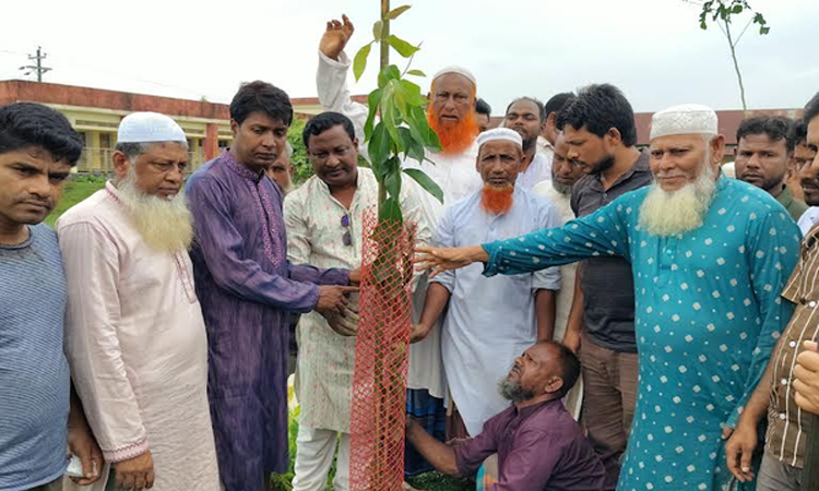 নেত্রকোণায় বৃক্ষরোপণ কর্মসূচি শুরু 