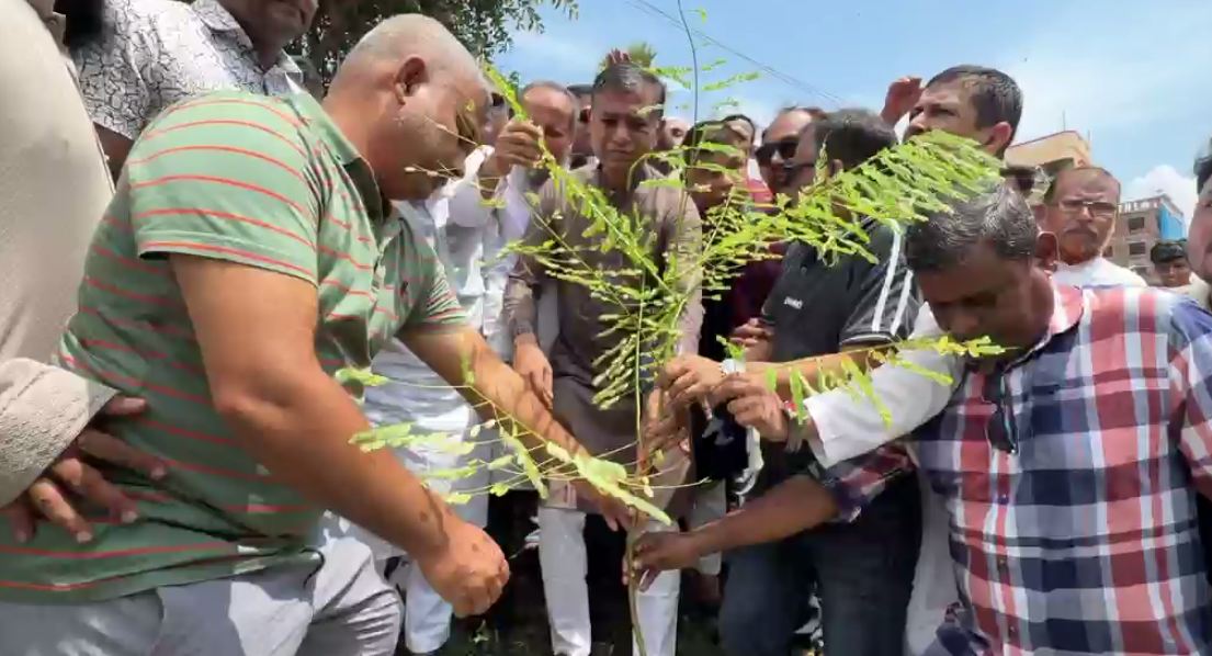 ব্রাহ্মণবাড়িয়ায় যুবদলের বৃক্ষরোপণ কর্মসূচি  