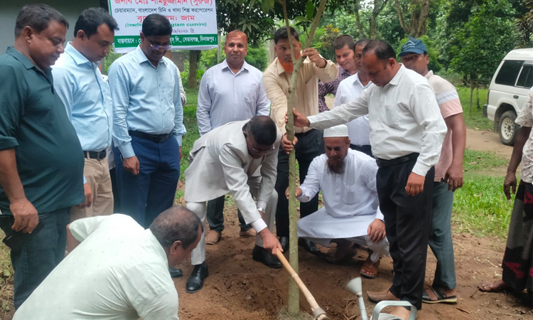 পরিবেশ রক্ষায় শিল্পকারখানায় বৃক্ষরোপণ কর্মসূচির উদ্বোধন