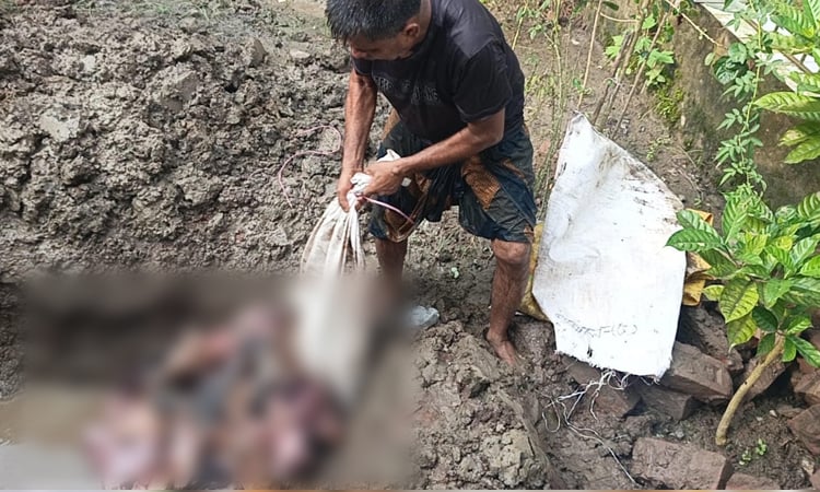 কয়রায় ১৪৫ কেজি হরিণের মাংস জব্দ