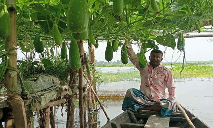 ব্রাহ্মণবাড়িয়ায় জলাবদ্ধ জমিতে ভাসমান সবজি চাষে কৃষকের ভাগ্য বদল