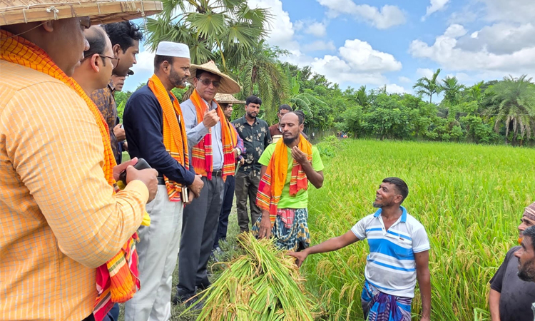 বাগেরহাটে প্রথম দফায় কৃষক কার্ড পাবেন ২৬ হাজার কৃষক