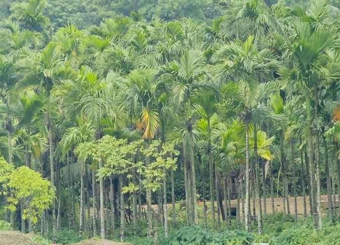 ছবি : বাসস