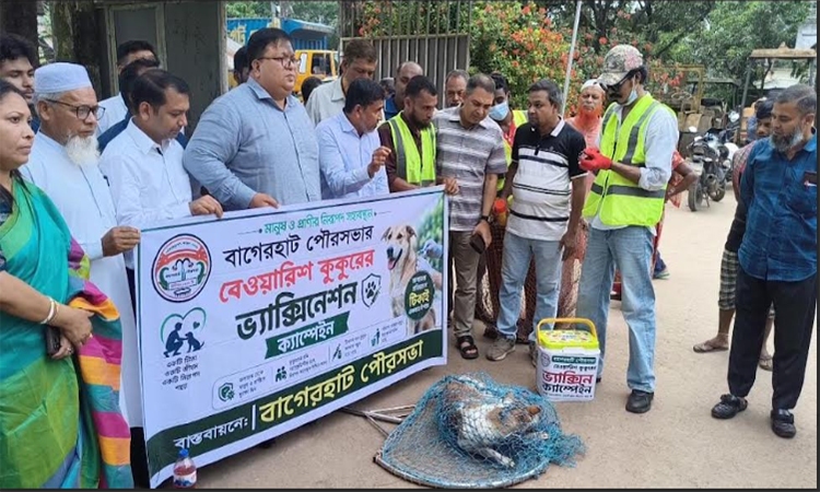 বাগেরহাটে বেওয়ারিশ কুকুরকে ভ্যাকসিন দেয়া শুরু